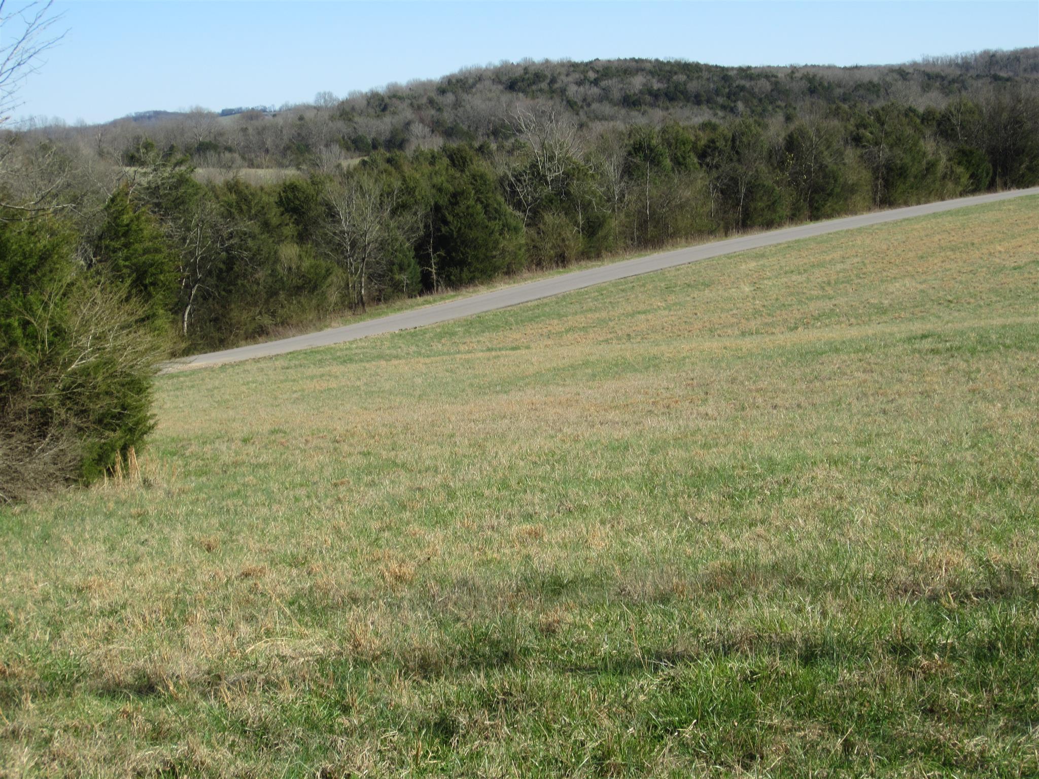 0 John Sugg Road Fayetteville, TN 37334 - Photo 8 of 9 a view of an outdoor space with a lake view