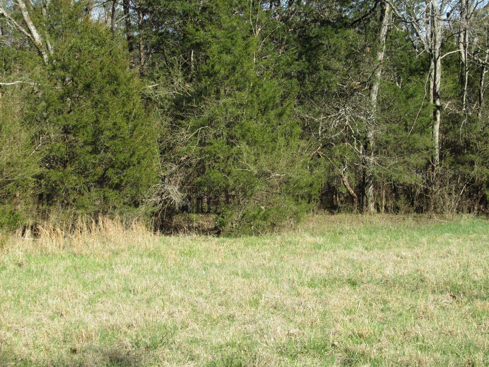 0 John Sugg Road Fayetteville, TN 37334 - Photo 9 of 9 a view of a yard with a tree