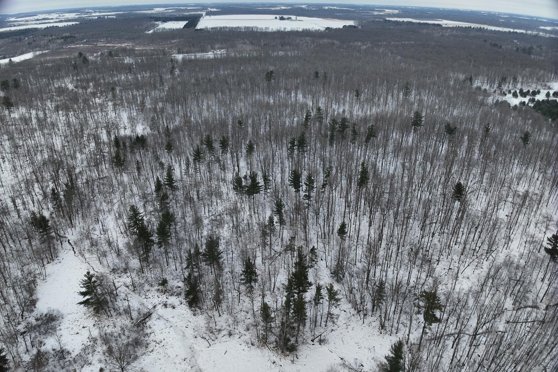 65.32-acres Bobwhite Road Neillsville, WI 54456 - Photo 4 of 26