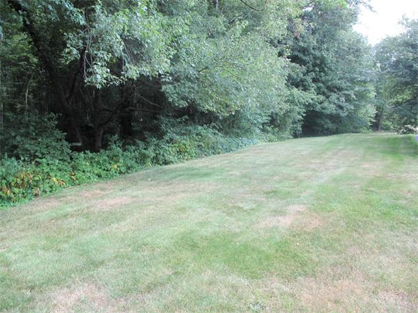 14 Skyview Road Randolph, MA 02368 - Photo 22 of 27 Gallery Image 22