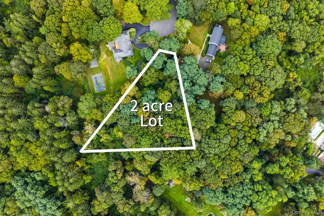 a view of a book with a tree