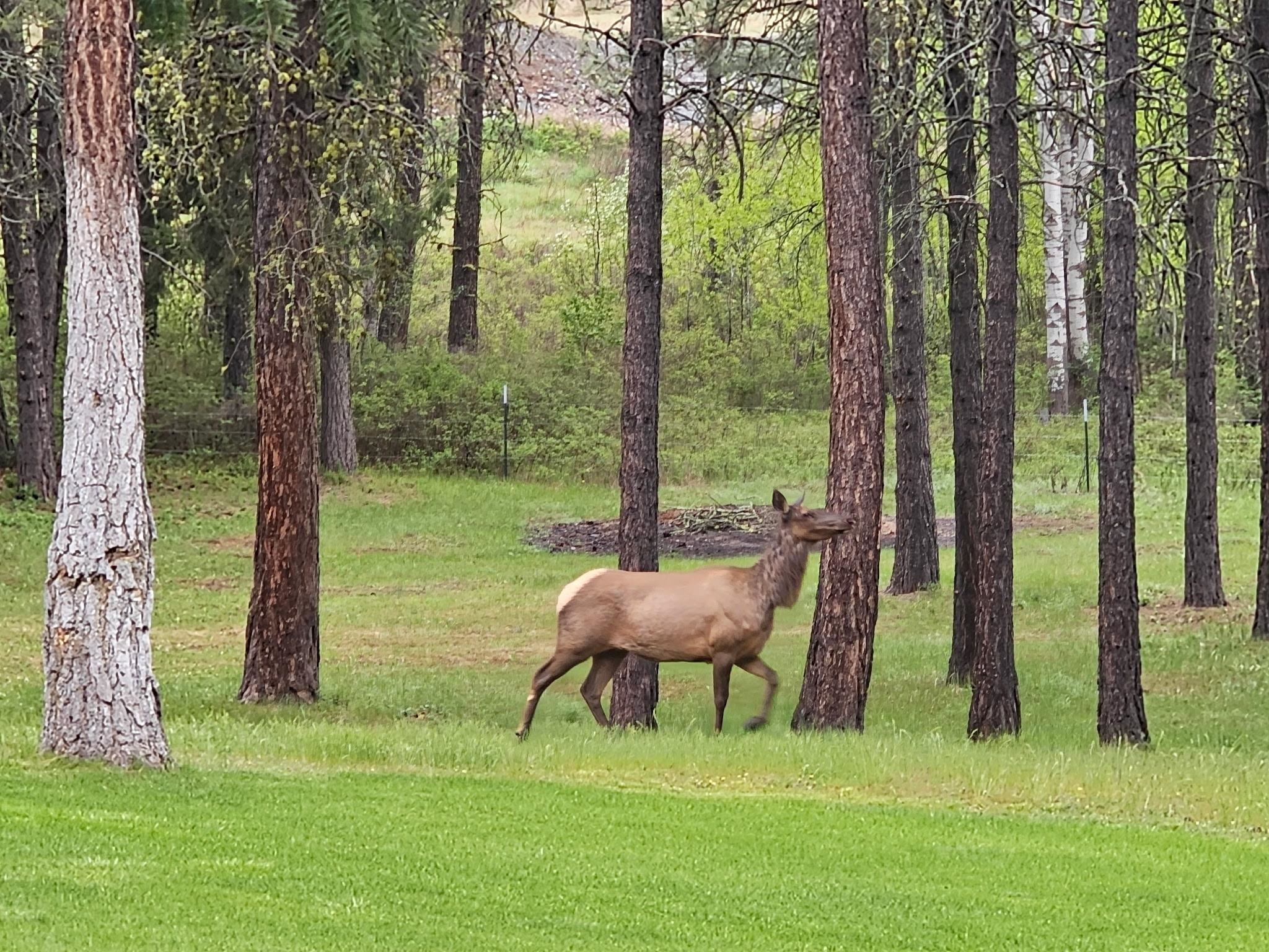 1474 B Evans Cutoff Road Evans, WA 99126 - Photo 48 of 48