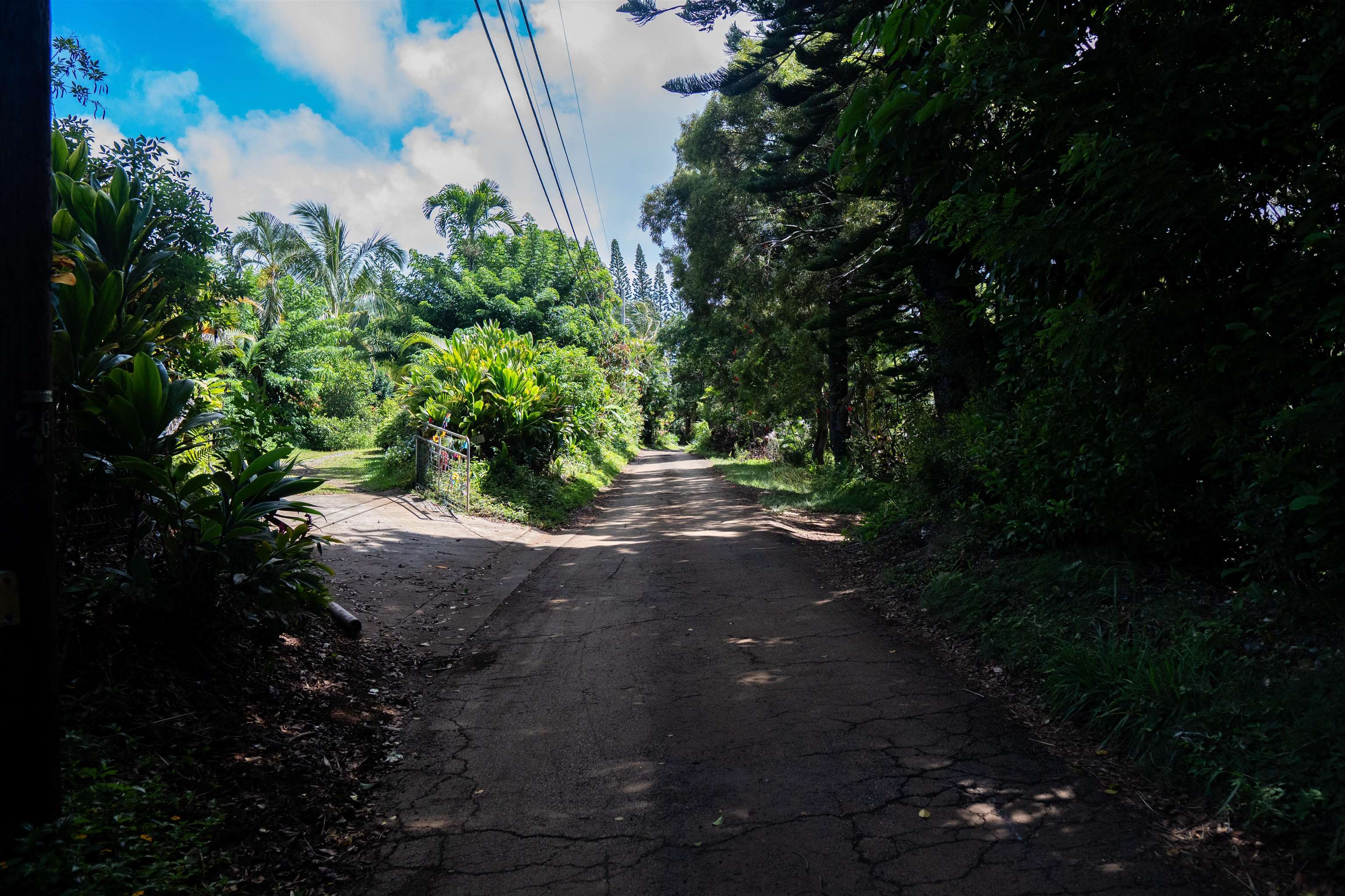 420 Haumana Road Haiku, HI 96708 - Photo 48 of 50
