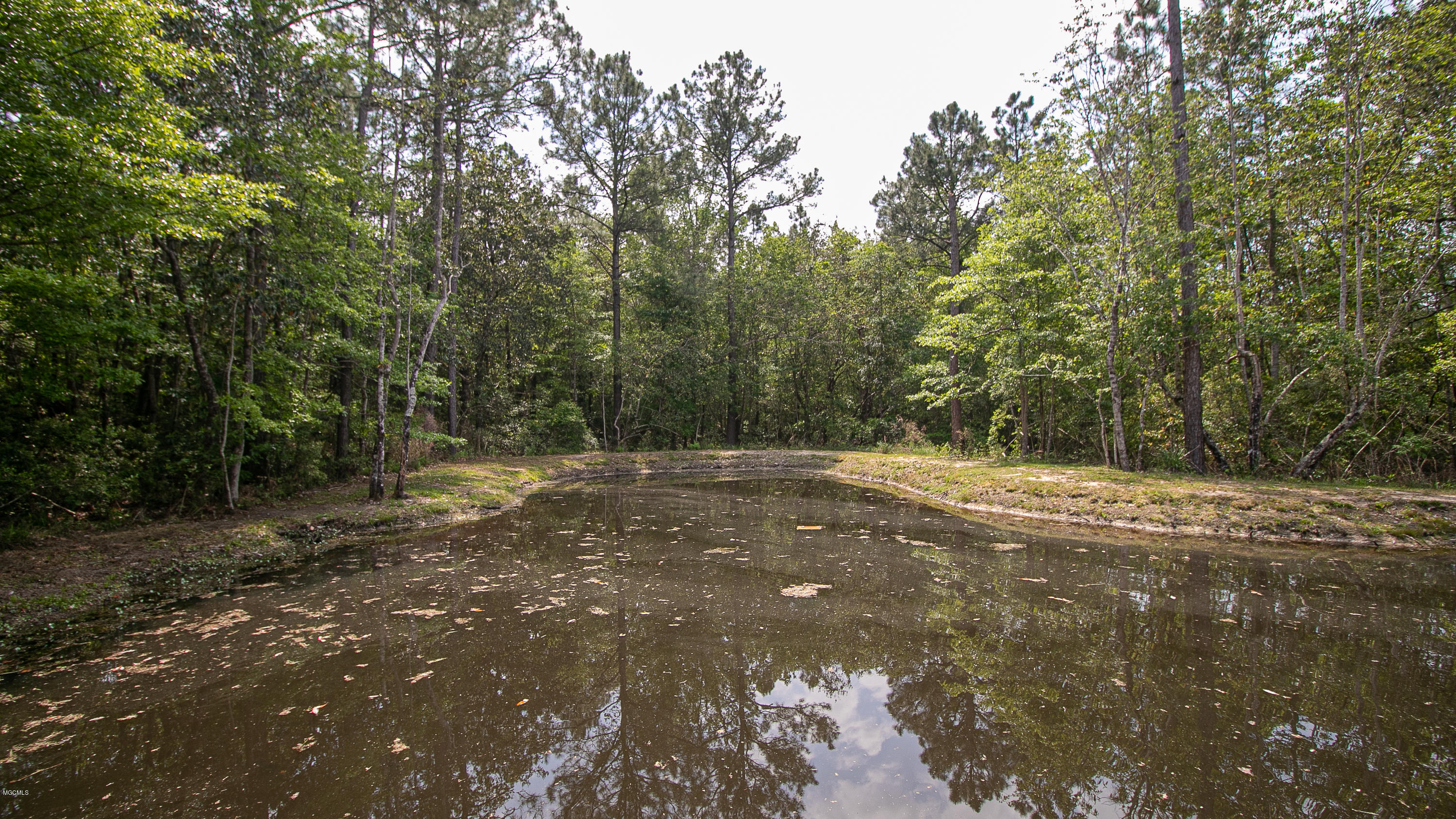 15496 Wilson Road Vancleave, MS 39565 - Photo 43 of 45 15496 Wilson Road-159