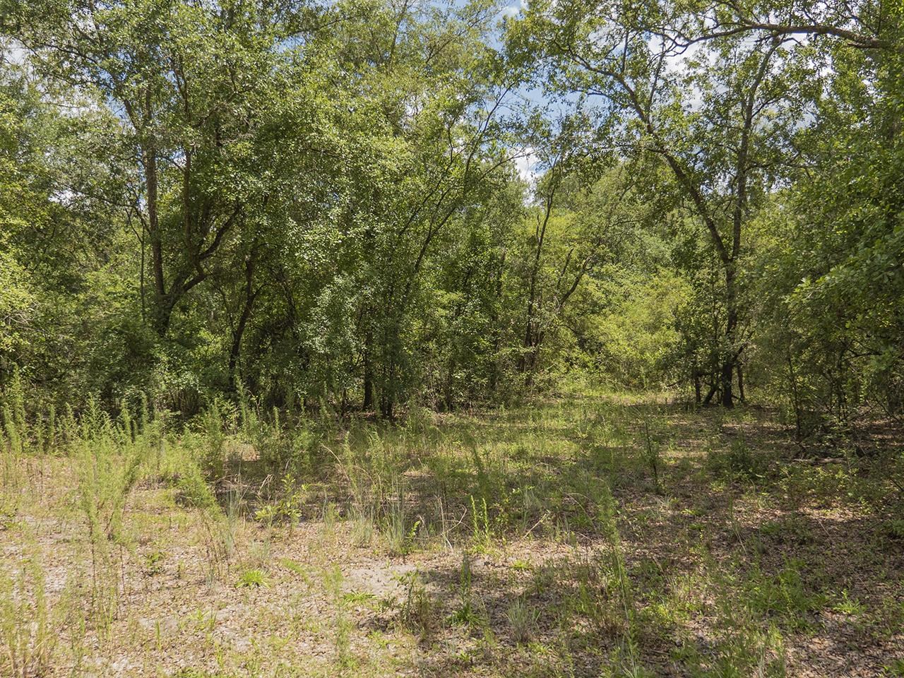 Vacant Southwest Hike Lake Road Madison, FL 32340 - Photo 19 of 35