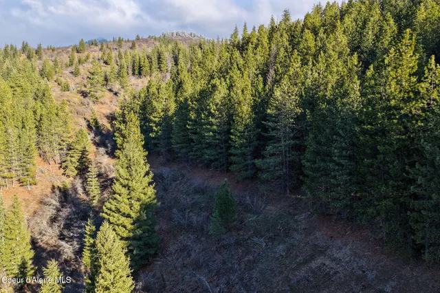 $659,000 | Nna Nna Italian Gulch, Kellogg, ID 83837