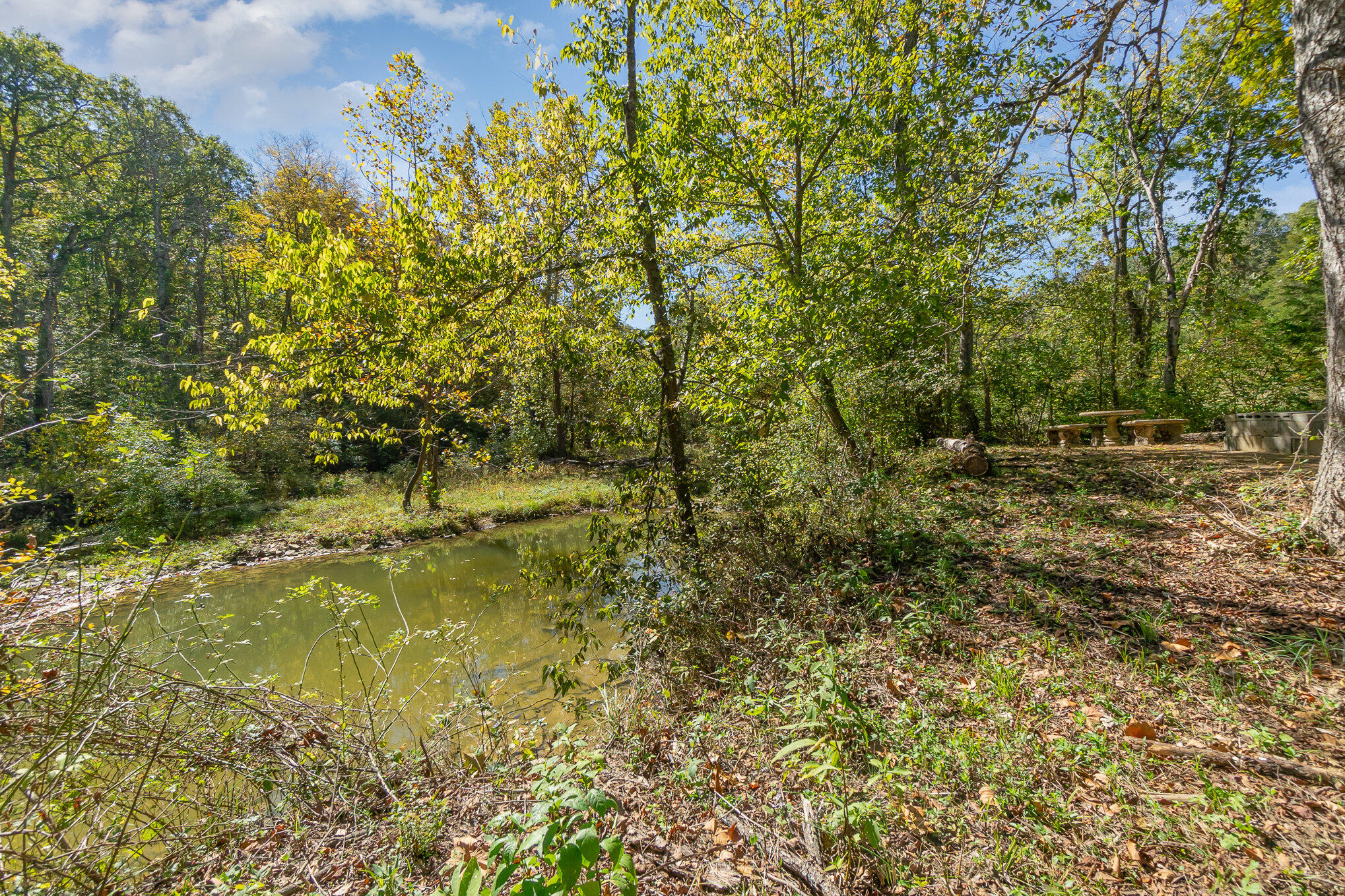 3910 Taft Highway Dry Ridge, KY 41035 - Photo 40 of 50