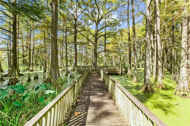 $3,000,000 | 616 Dejean Highway, Washington, LA 70589