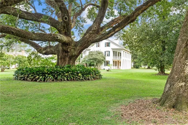 $3,000,000 | 616 Dejean Highway, Washington, LA 70589