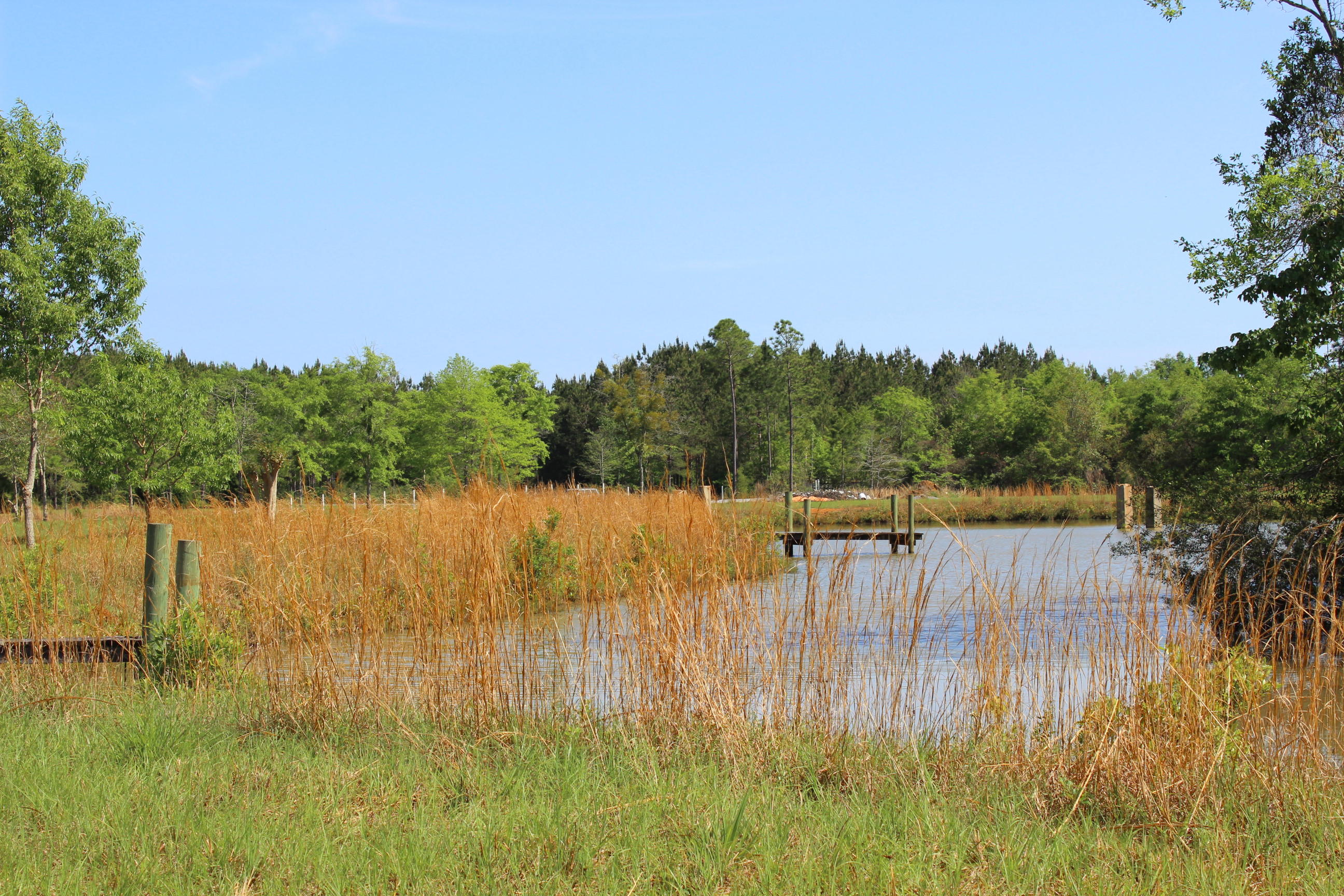 7664 Hidden Oak Road Pace, FL 32571 - Photo 2 of 11 Gallery Image 2