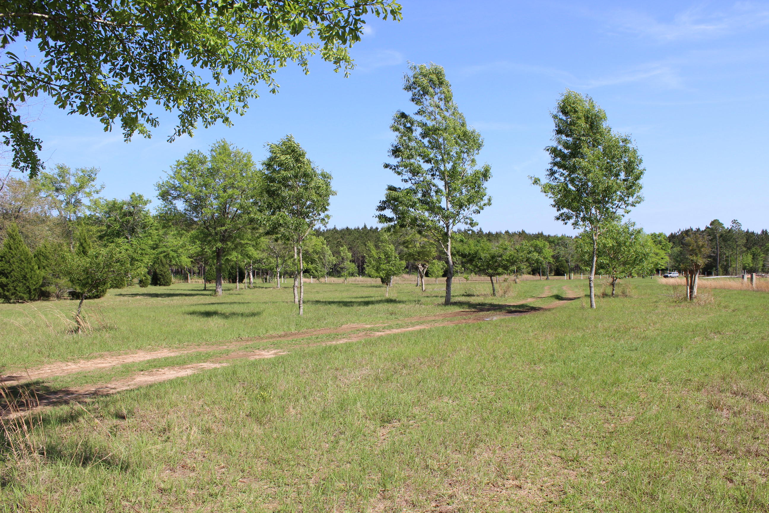 7664 Hidden Oak Road Pace, FL 32571 - Photo 3 of 11 Gallery Image 3