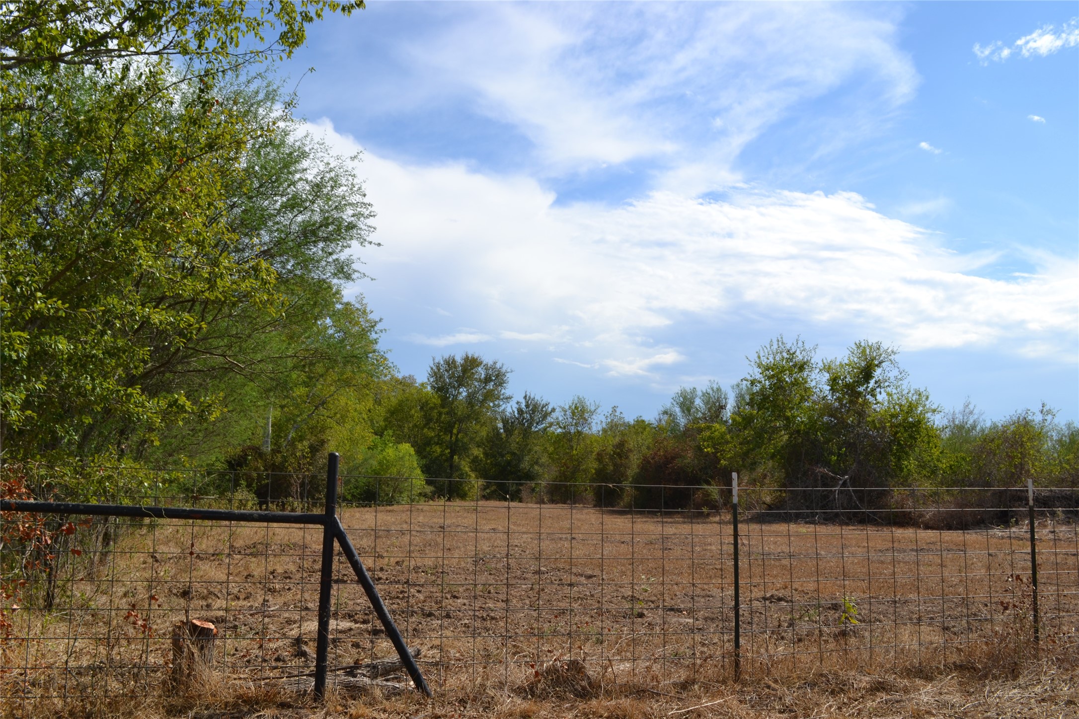 13915 Schmidt Road Hempstead, TX 77445 - Photo 4 of 6 a view of a yard
