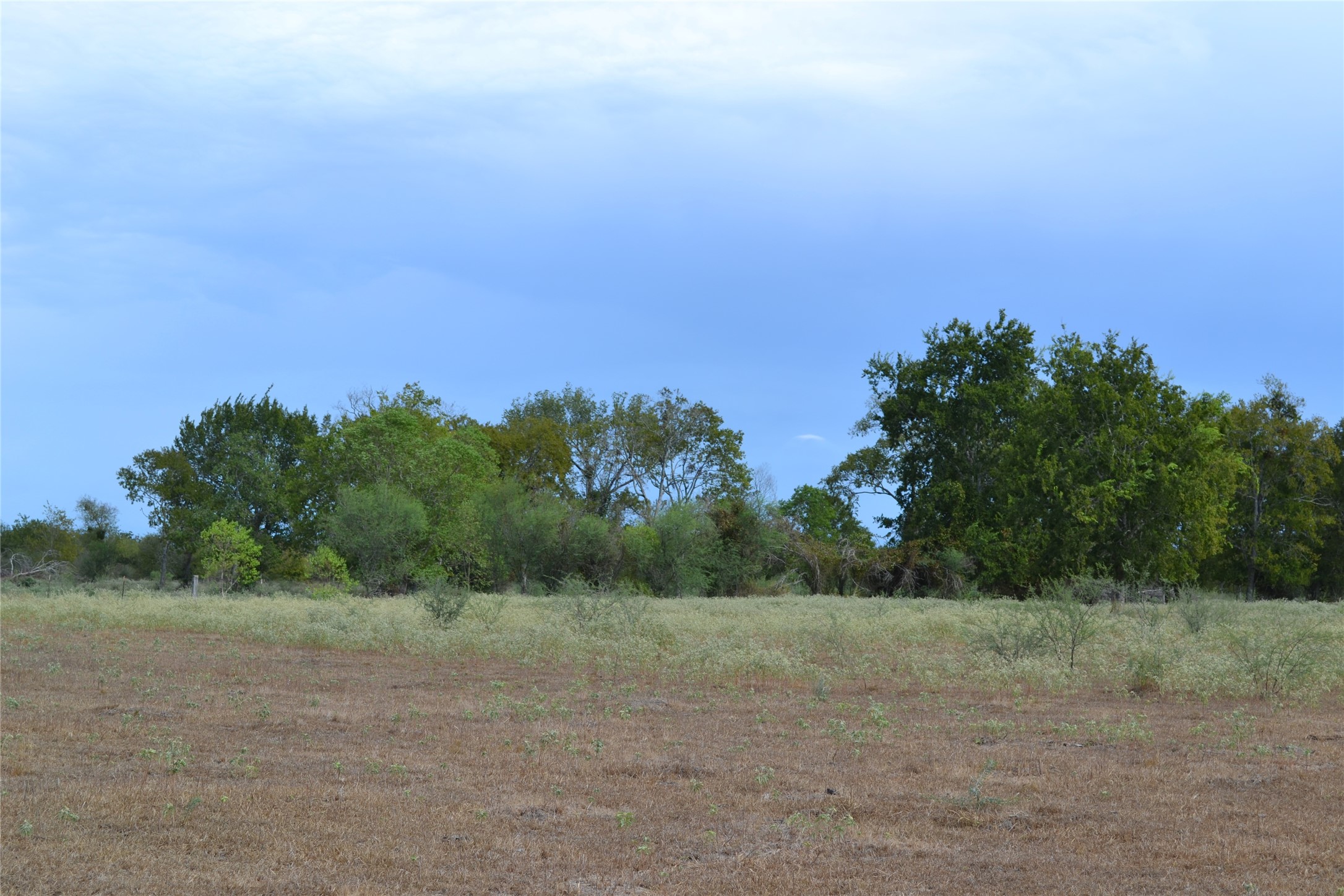 13915 Schmidt Road Hempstead, TX 77445 - Photo 6 of 6 a view of a field with trees in background