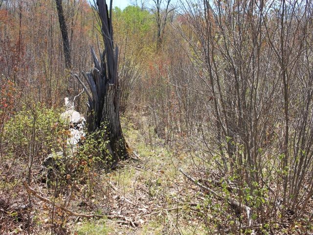 19081 Erickson Drive Dunbar, WI 54119 - Photo 32 of 87