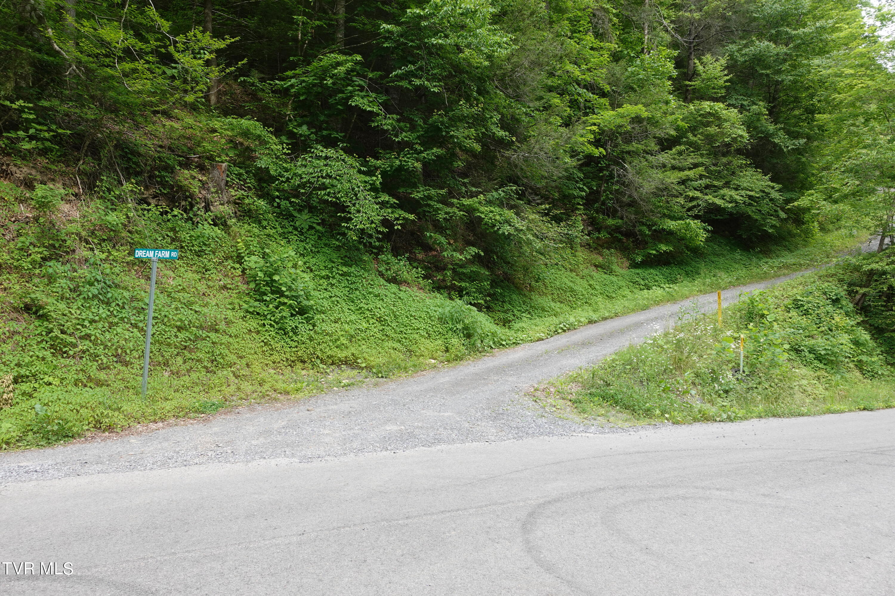 639 Dream Farm Road Birchleaf, VA 24220 - Photo 152 of 153 DSC00386