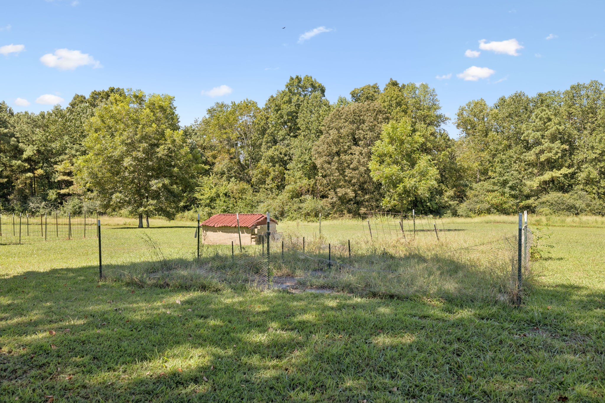 112 St Mary Road Loretto, TN 38469 - Photo 54 of 100 a view of a lake with a yard