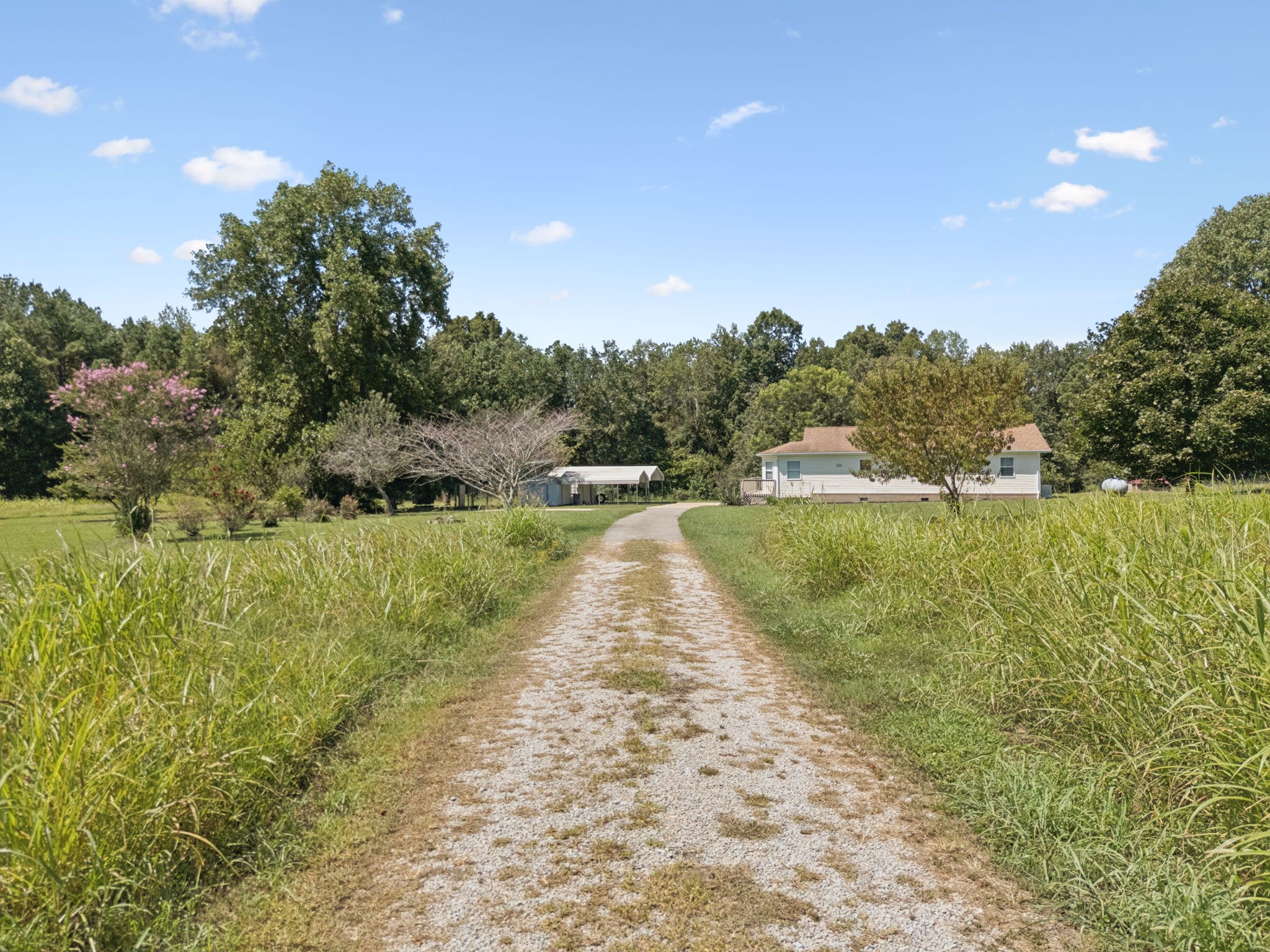 112 St Mary Road Loretto, TN 38469 - Photo 60 of 100