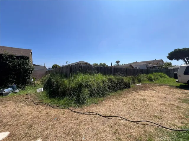 a view of a dry yard with plants