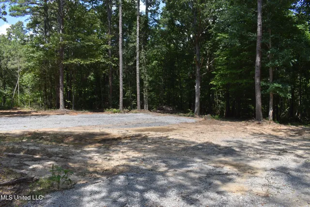 $33,000 | 6 Grey Academy Road, Ashland, MS 38603