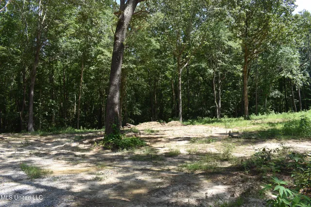 $33,000 | 6 Grey Academy Road, Ashland, MS 38603