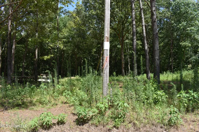 $33,000 | 6 Grey Academy Road, Ashland, MS 38603