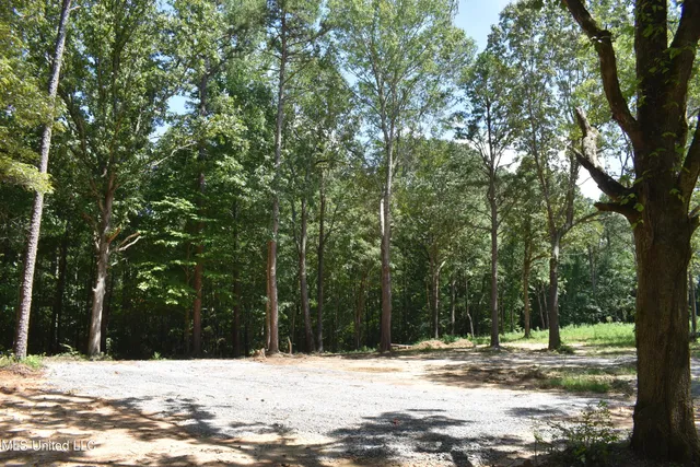 $33,000 | 6 Grey Academy Road, Ashland, MS 38603