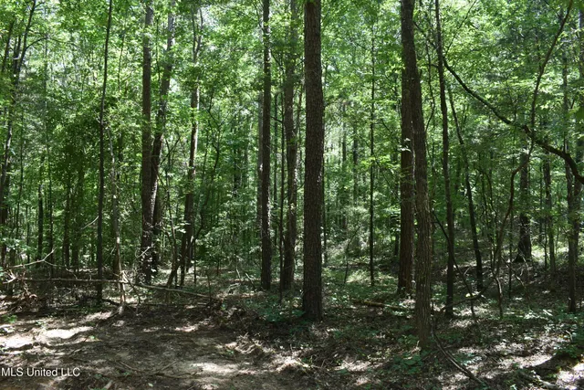 $33,000 | 6 Grey Academy Road, Ashland, MS 38603