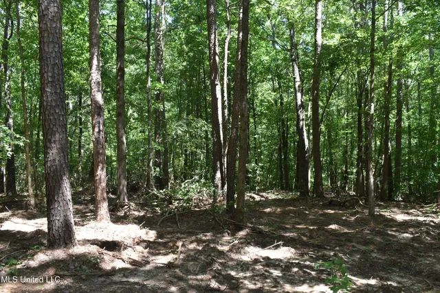 $33,000 | 6 Grey Academy Road, Ashland, MS 38603