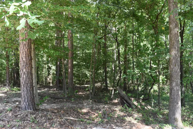 $33,000 | 6 Grey Academy Road, Ashland, MS 38603