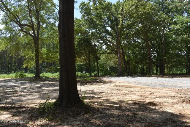 $33,000 | 6 Grey Academy Road, Ashland, MS 38603