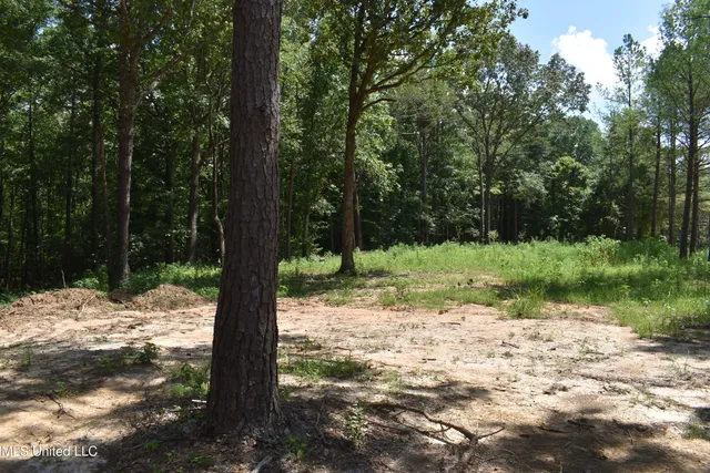 $33,000 | 6 Grey Academy Road, Ashland, MS 38603