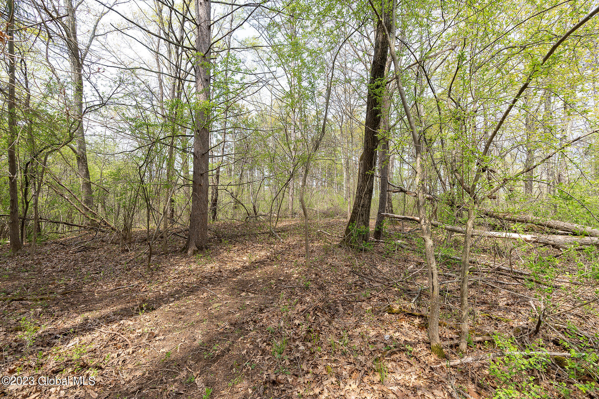 92 Ashdown Road Clifton Park, NY 12019 - Photo 38 of 45 020-92-Ashdown-Rd