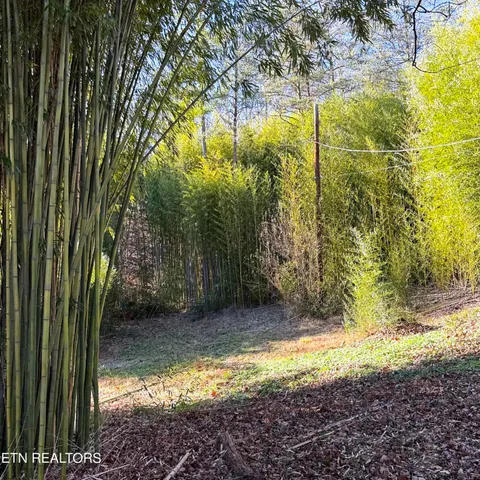 $399,900 | 137 County Road 468, Englewood, TN 37329