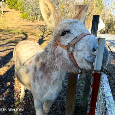 $399,900 | 137 County Road 468, Englewood, TN 37329