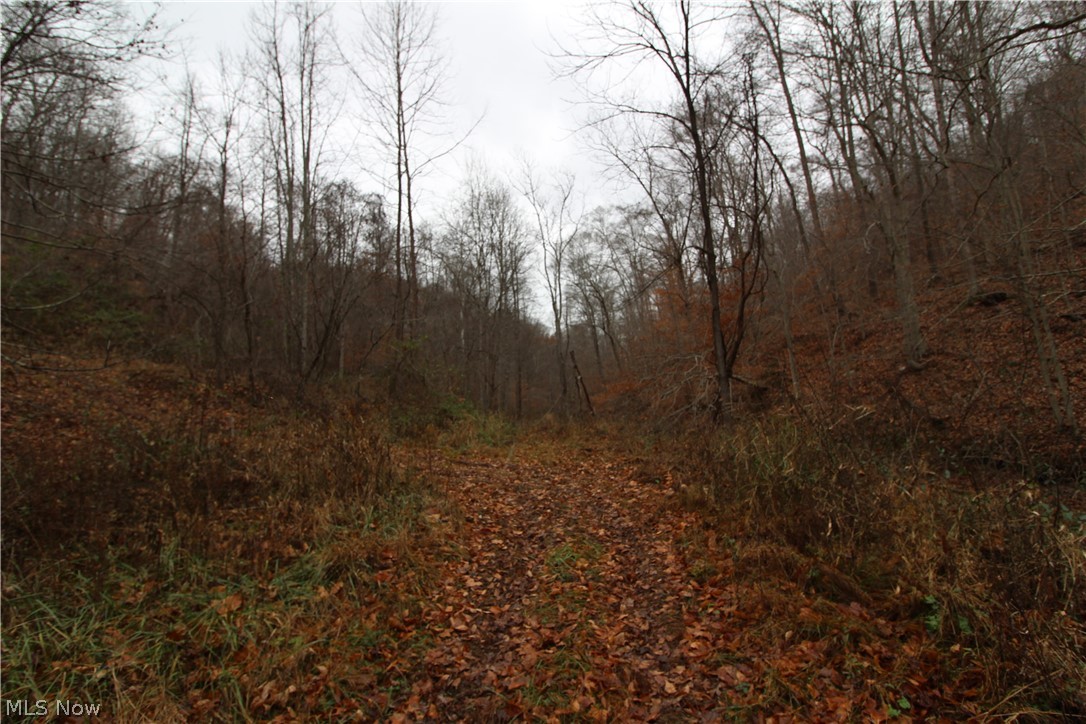 Wilson Run Road New Matamoras, OH 45767 - Photo 27 of 34 Gallery Image 27