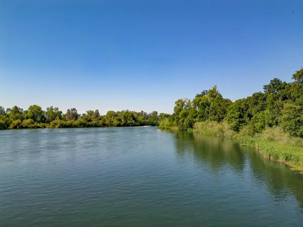 a view of a yard with palm tree