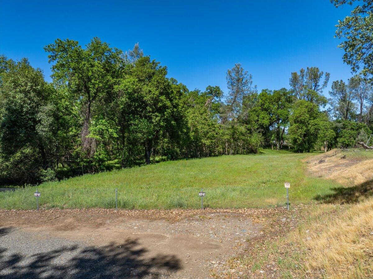 19301 Clover Road Redding, CA 96002 - Photo 2 of 18 a view of a yard with palm trees