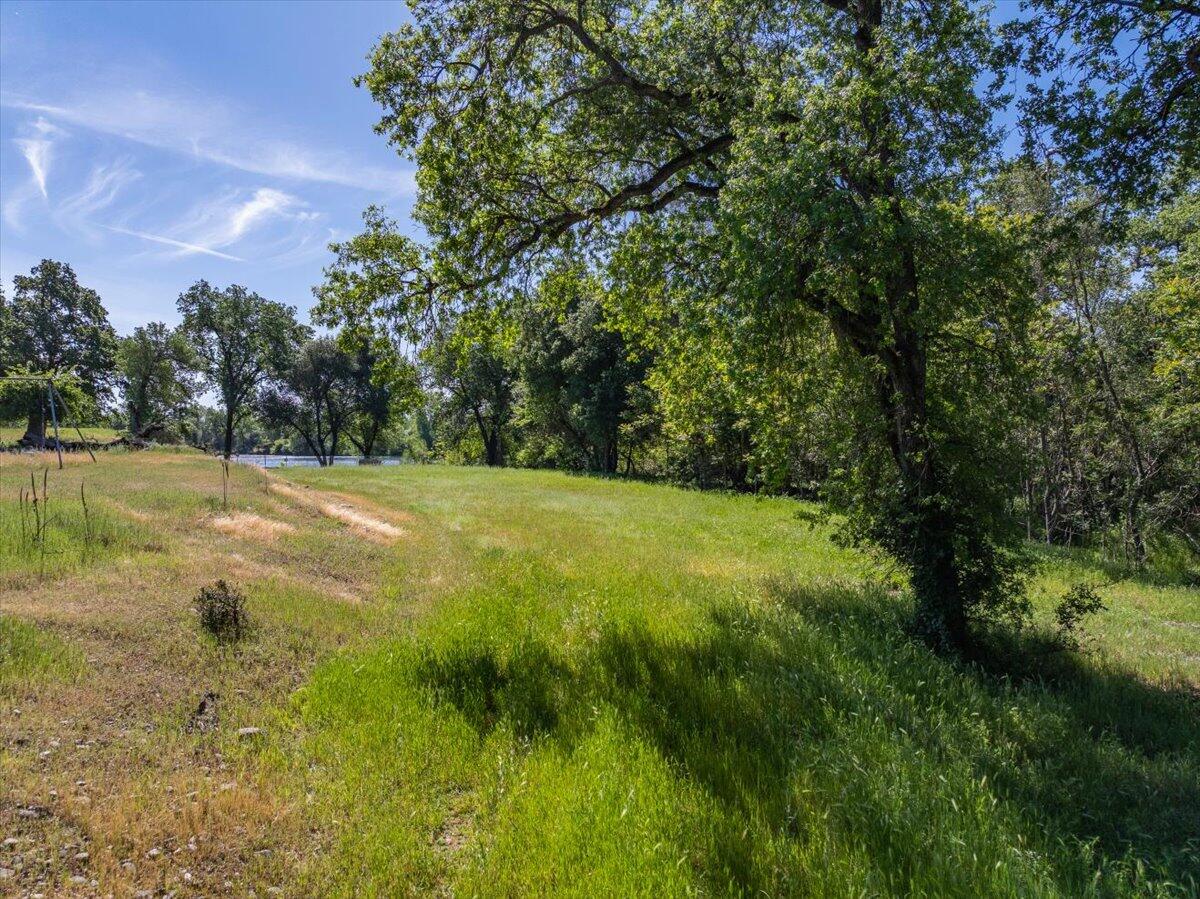 19301 Clover Road Redding, CA 96002 - Photo 5 of 18 a view of a field with an trees in the background