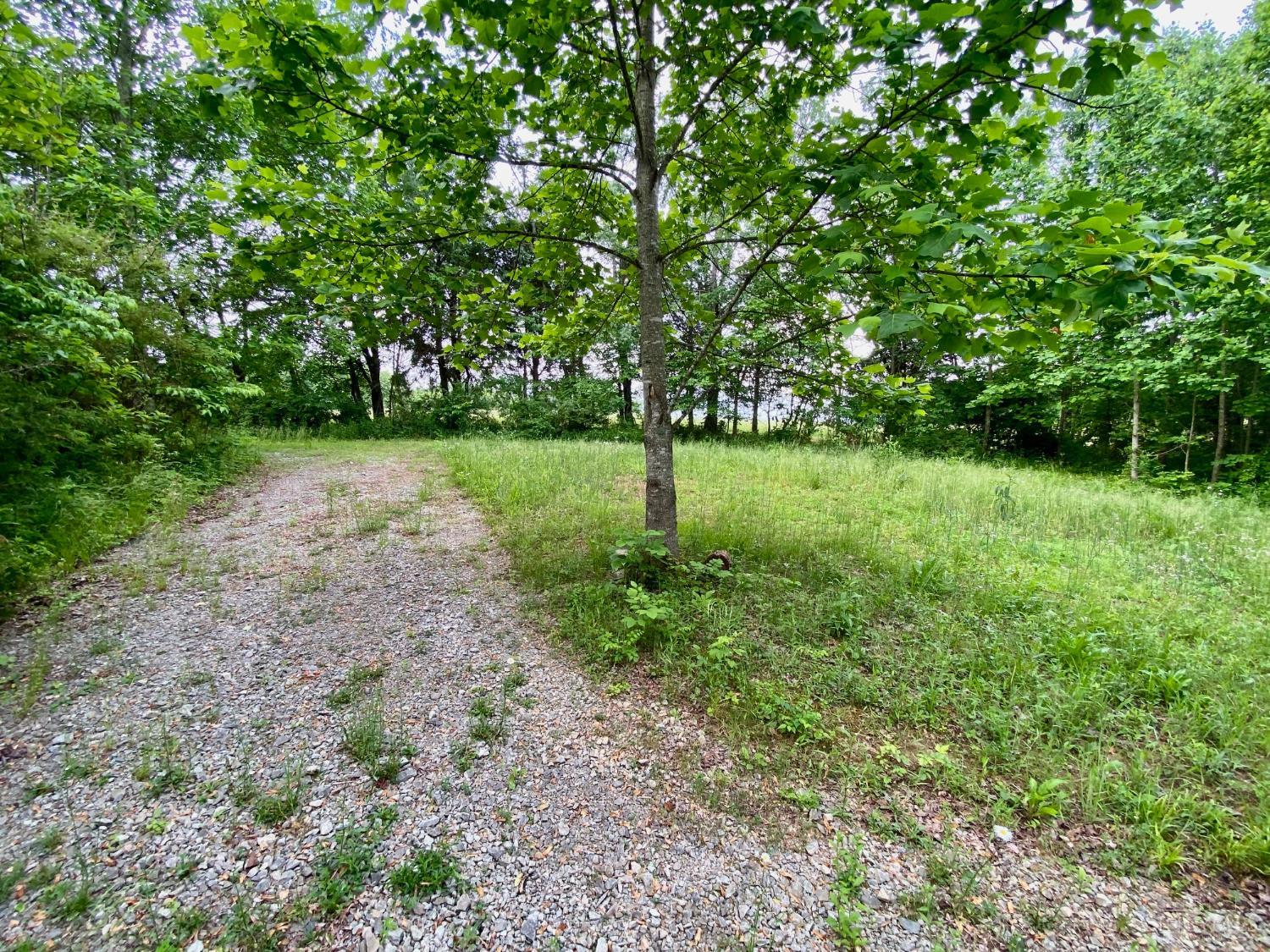 85 Pfeifer Road Manchester, OH 45144 - Photo 2 of 15