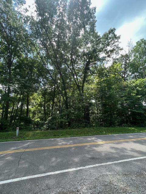 0 Thompson Ridge Road Laurelville, OH 43135 - Photo 5 of 5 IMG_2958