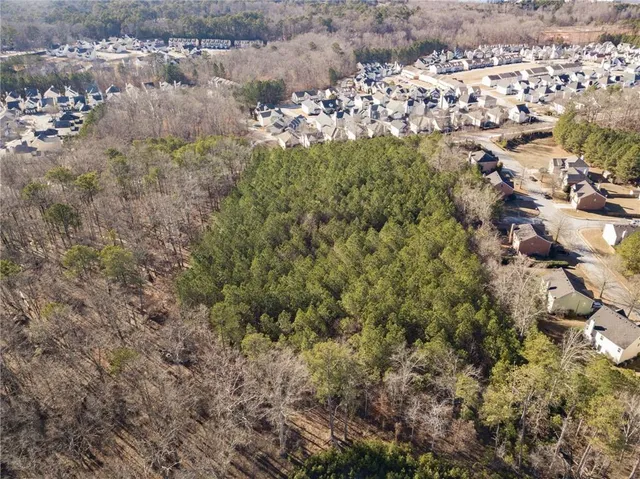 a close up of a plant