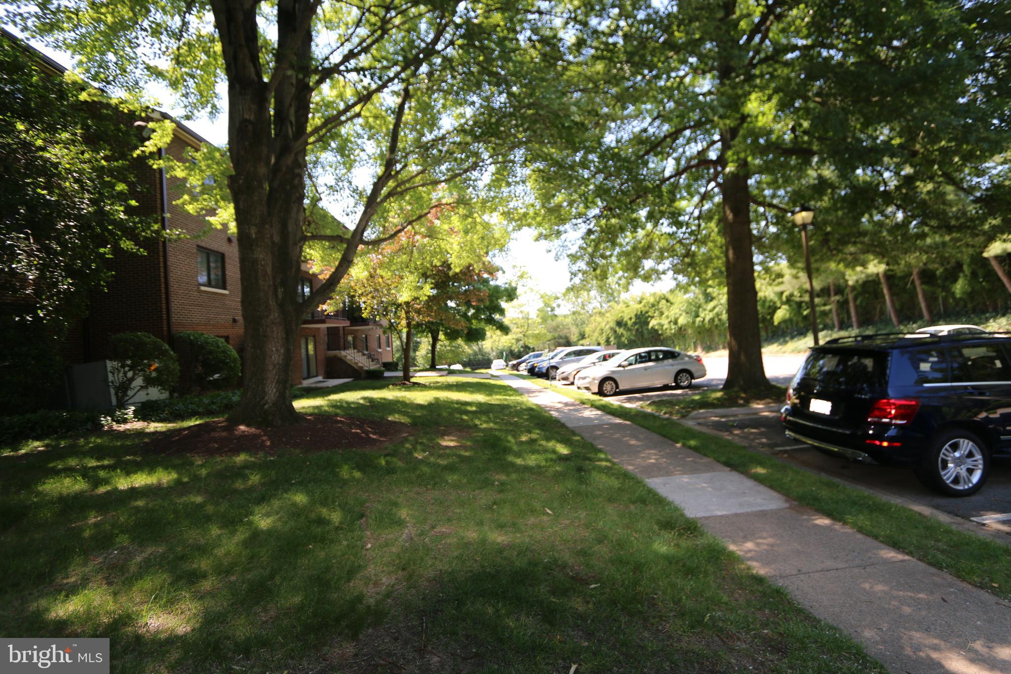 6280 Edsall Road, Unit 302 Alexandria, VA 22312 - Photo 33 of 35