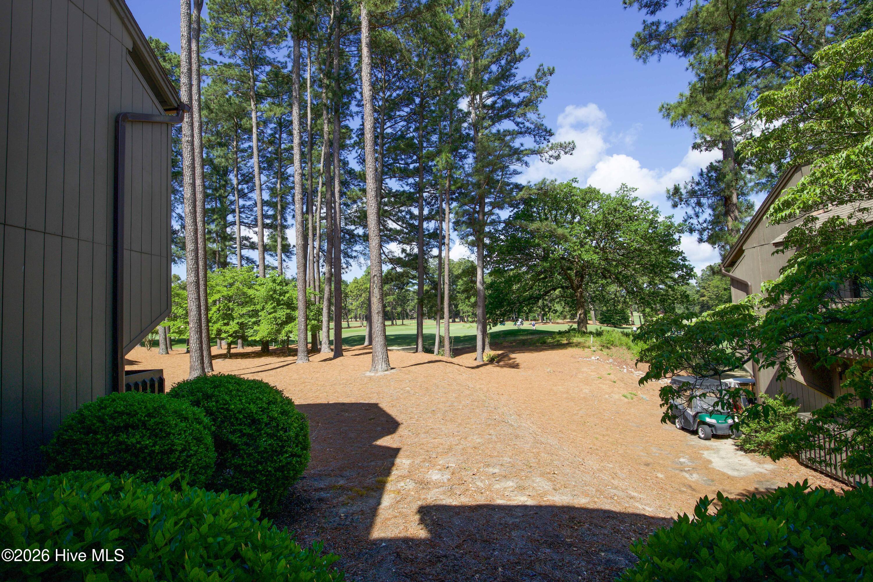 10 Pine Tree Road, Unit 134 Pinehurst, NC 28374 - Photo 32 of 35 134 St Andrews condo-29