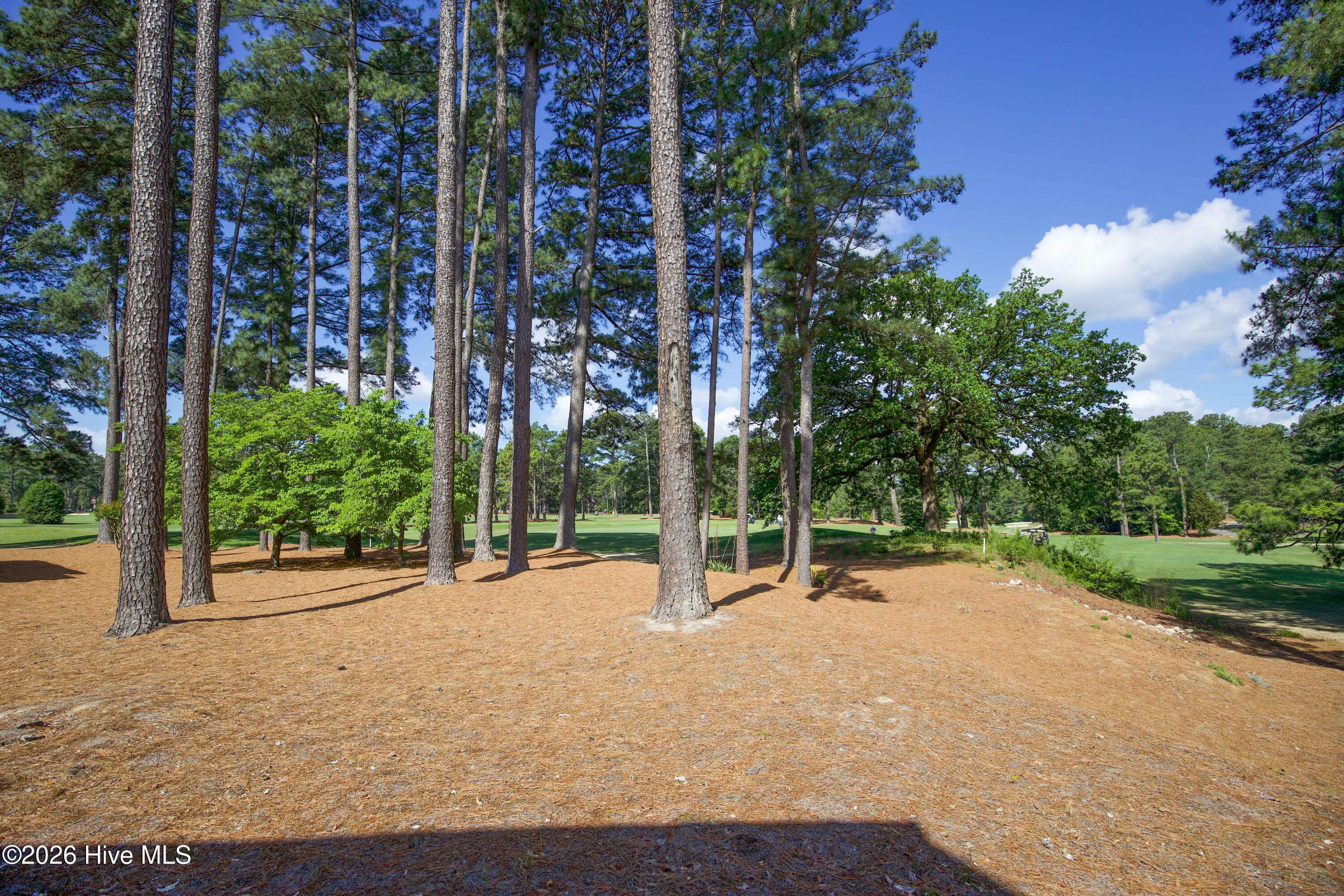 10 Pine Tree Road, Unit 134 Pinehurst, NC 28374 - Photo 33 of 35 134 St Andrews condo-30