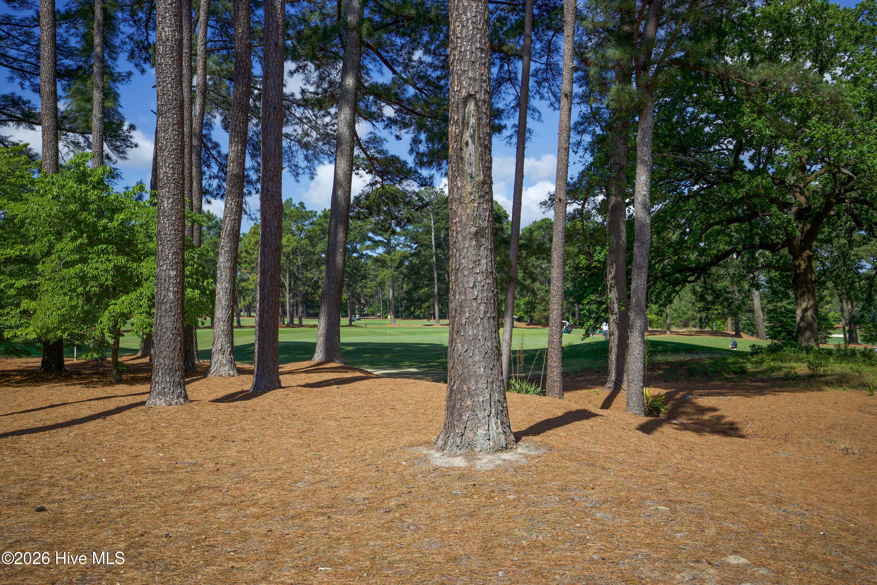 10 Pine Tree Road, Unit 134 Pinehurst, NC 28374 - Photo 34 of 35 134 St Andrews condo-31