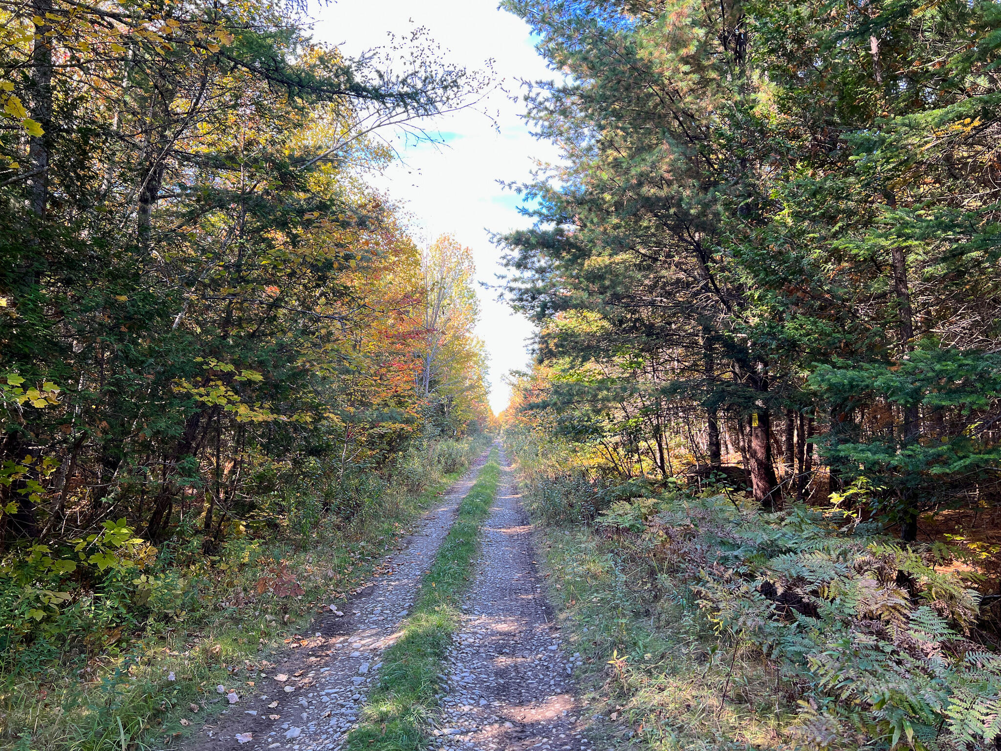 269 Cow Team Road Crystal, ME 04747 - Photo 44 of 50 41