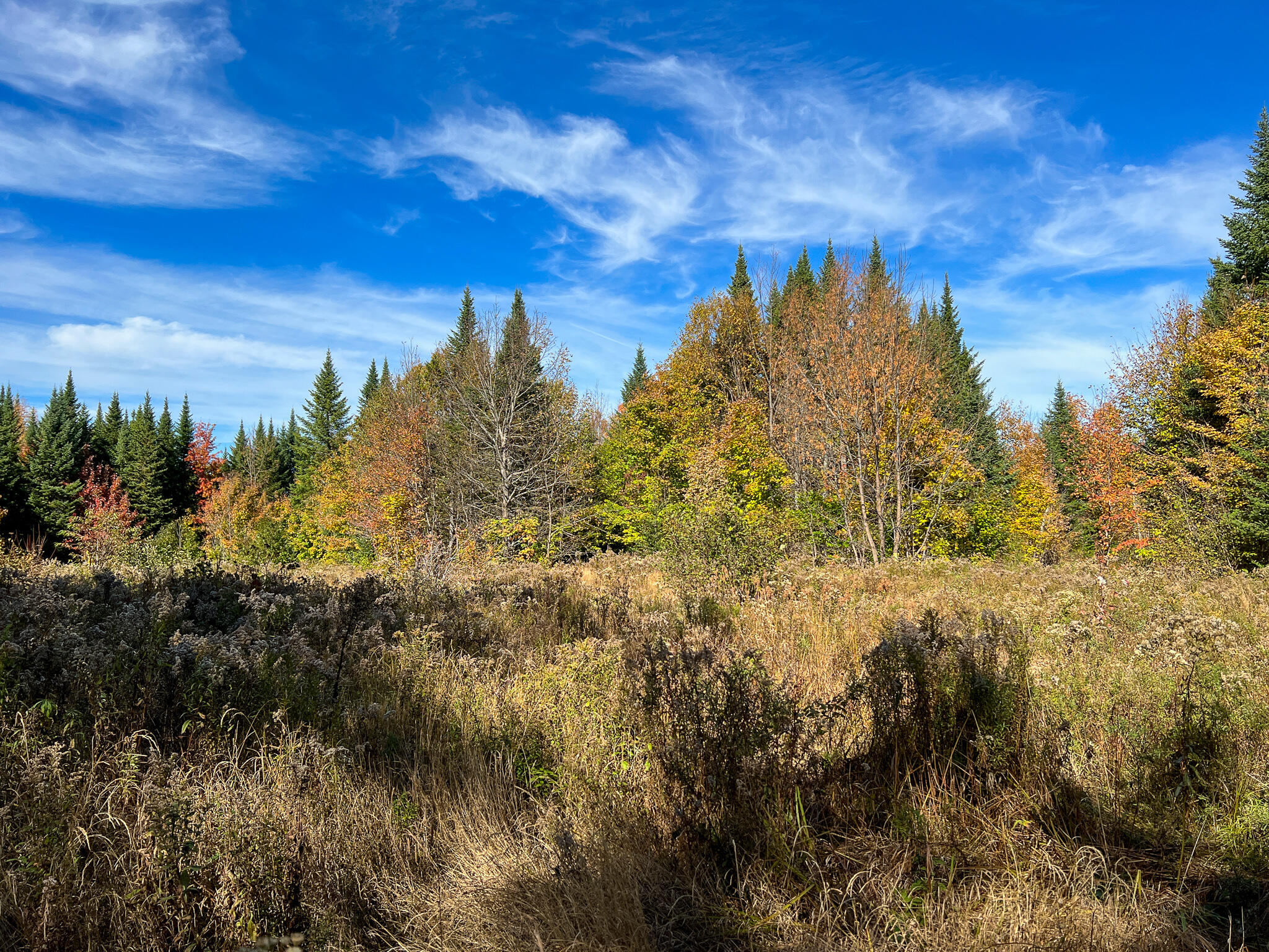 269 Cow Team Road Crystal, ME 04747 - Photo 47 of 50 44