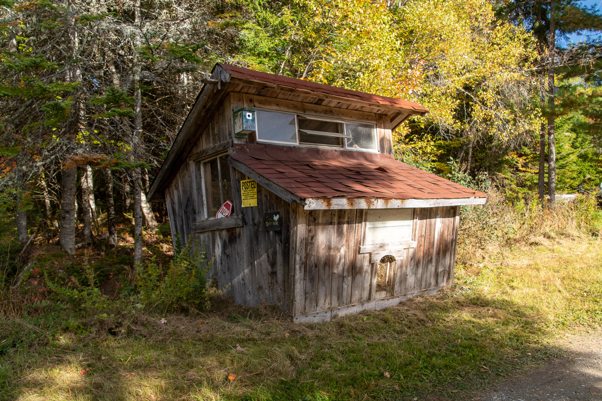 269 Cow Team Road Crystal, ME 04747 - Photo 10 of 50 11