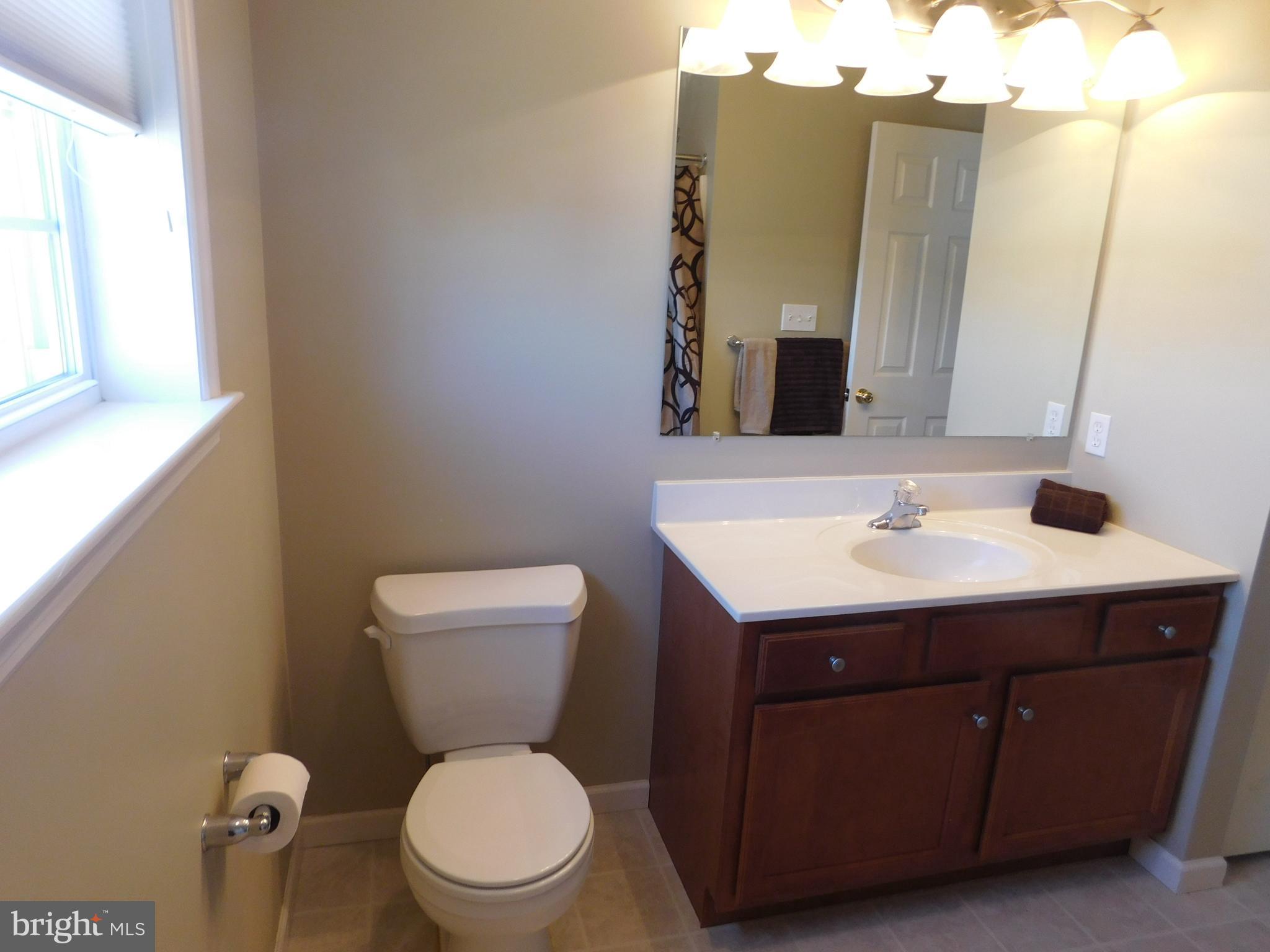 5405 Board Road Mount Wolf, PA 17347 - Photo 23 of 28 Vanity in 2nd full bath- new lighting & faucets
