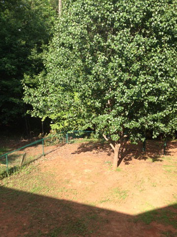 298 Long Shoals Road Eatonton, GA 31024 - Photo 11 of 39 Additional Photo